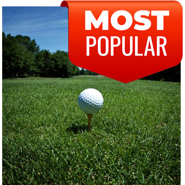 24 Pack Multi-Game Books -  Ottawa Golf Course Specials