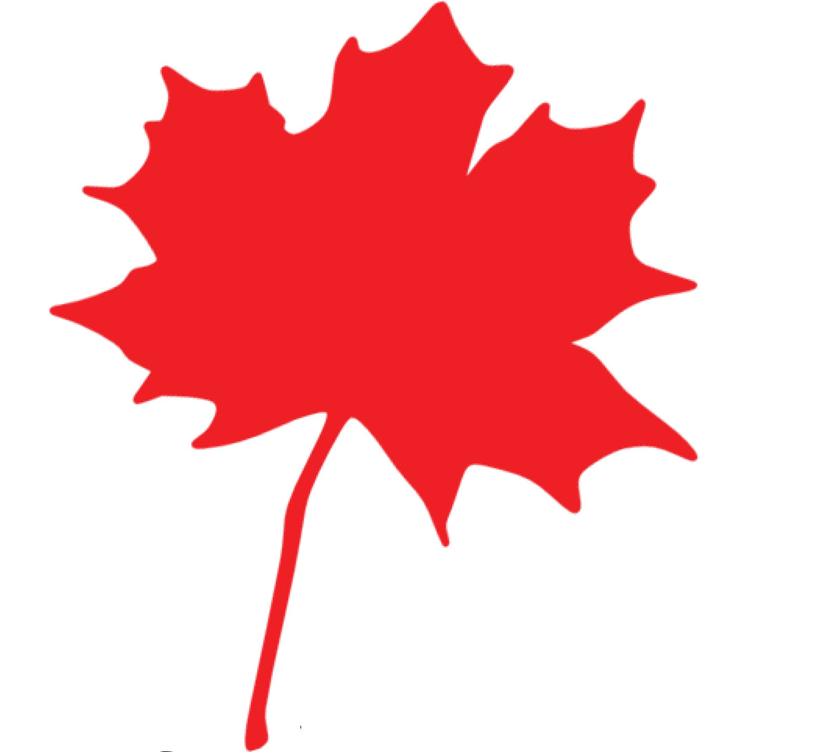 2026 Optional Member Services