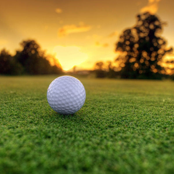 12 Pack Multi-Game Books -  Ottawa Golf Course Specials