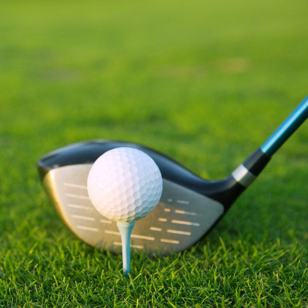 48 Pack Multi-Game Books -  Ottawa Golf Course Specials